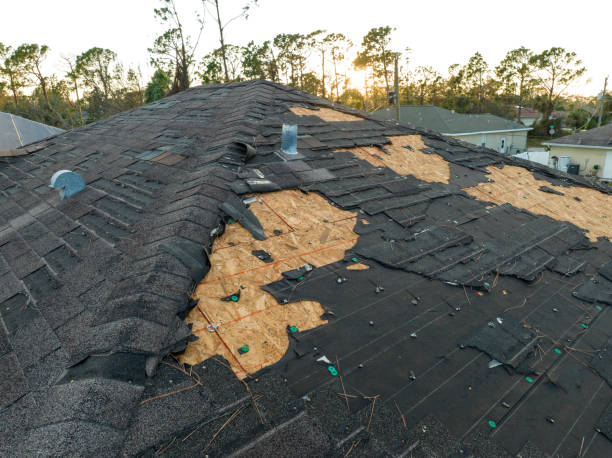 Best Green or Eco-Friendly Roofing Solutions  in Brewton, AL